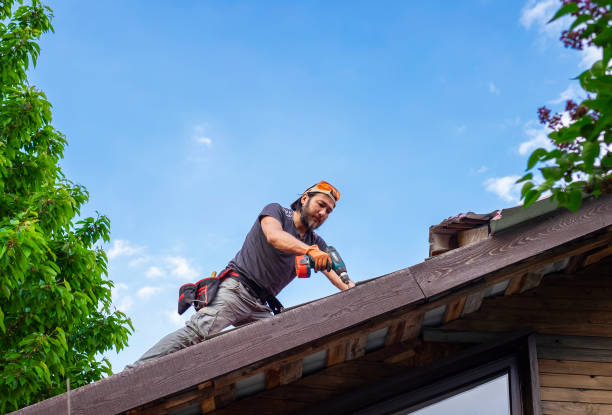 Fast & Reliable Emergency Roof Repairs in Fruitvale, CO
